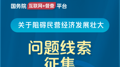 少妇不要停日视频国务院“互联网+督查”平台公开征集阻碍民营经济发展壮大问题线索